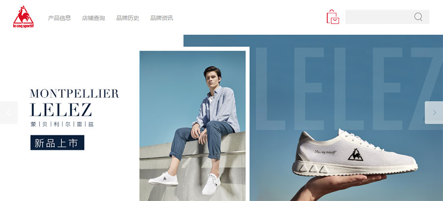 網站建設,營銷網站